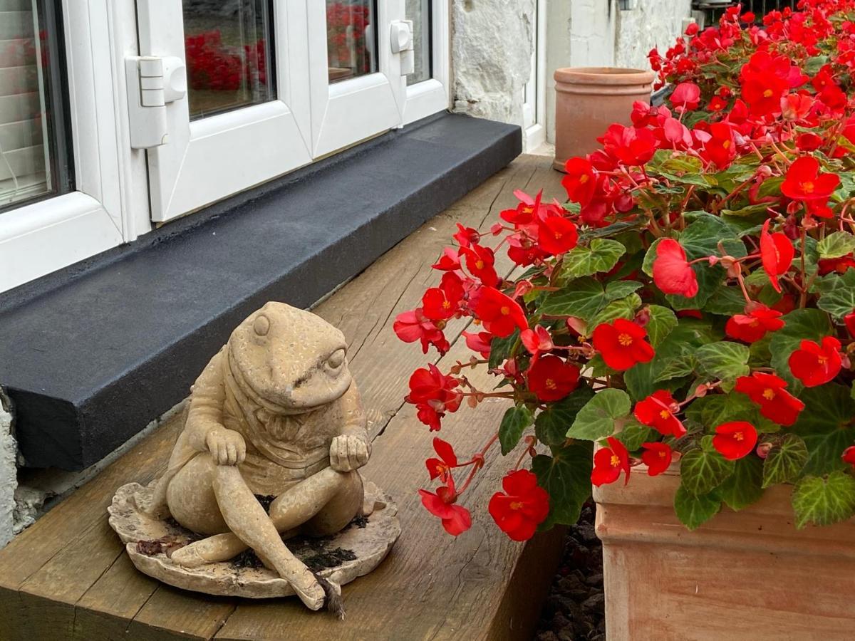 Toadhall Rooms Muchalls Ngoại thất bức ảnh